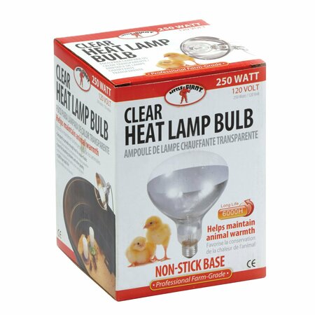 LITTLE GIANT Clear Heat Lamp Bulb 170031